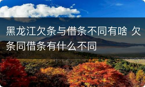 黑龙江欠条与借条不同有啥 欠条同借条有什么不同