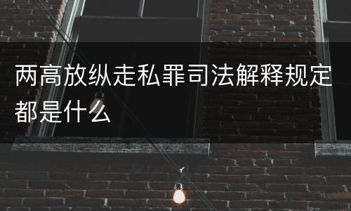 两高放纵走私罪司法解释规定都是什么