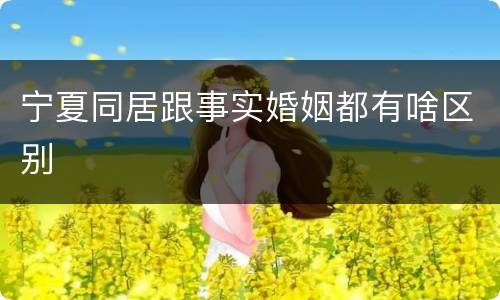 宁夏同居跟事实婚姻都有啥区别