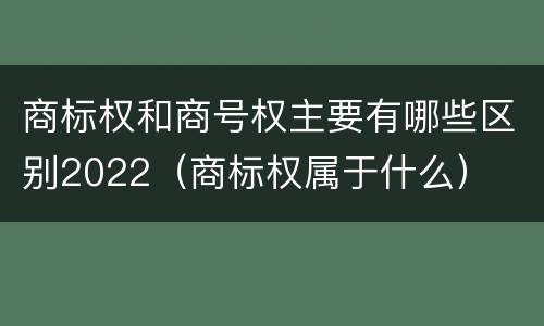 商标权和商号权主要有哪些区别2022（商标权属于什么）