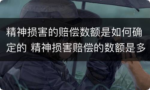 精神损害的赔偿数额是如何确定的 精神损害赔偿的数额是多少