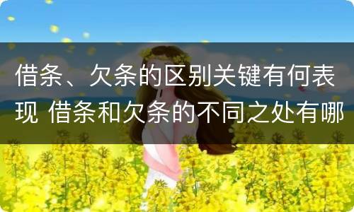 借条、欠条的区别关键有何表现 借条和欠条的不同之处有哪些
