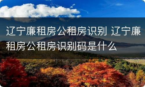 辽宁廉租房公租房识别 辽宁廉租房公租房识别码是什么