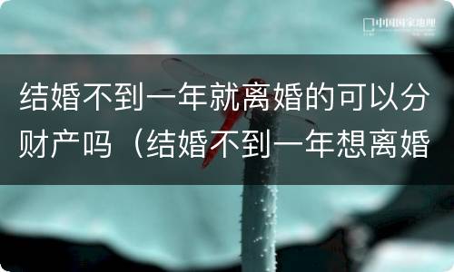 结婚不到一年就离婚的可以分财产吗（结婚不到一年想离婚财产怎么分）
