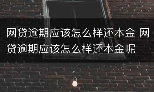 网贷逾期应该怎么样还本金 网贷逾期应该怎么样还本金呢