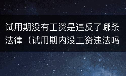 试用期没有工资是违反了哪条法律（试用期内没工资违法吗）