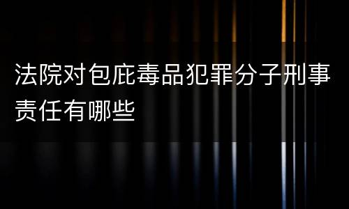 法院对包庇毒品犯罪分子刑事责任有哪些