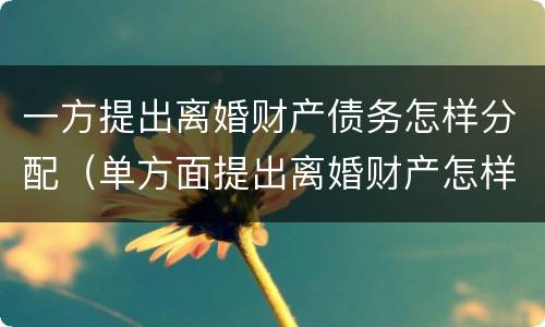 一方提出离婚财产债务怎样分配（单方面提出离婚财产怎样分配）