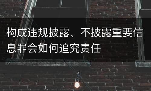 构成违规披露、不披露重要信息罪会如何追究责任