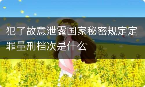 犯了故意泄露国家秘密规定定罪量刑档次是什么