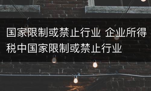 国家限制或禁止行业 企业所得税中国家限制或禁止行业