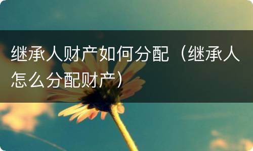 继承人财产如何分配（继承人怎么分配财产）