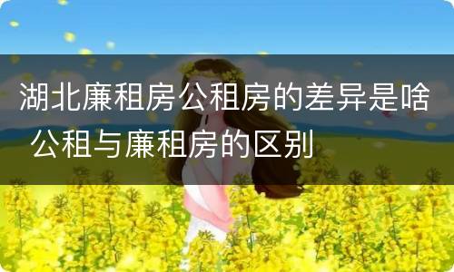 湖北廉租房公租房的差异是啥 公租与廉租房的区别