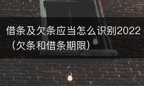 借条及欠条应当怎么识别2022(欠条和借条期限)