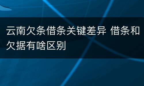 云南欠条借条关键差异 借条和欠据有啥区别