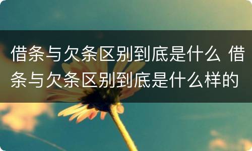 借条与欠条区别到底是什么 借条与欠条区别到底是什么样的