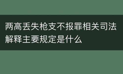 两高丢失枪支不报罪相关司法解释主要规定是什么