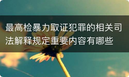 最高检暴力取证犯罪的相关司法解释规定重要内容有哪些