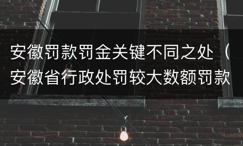 安徽罚款罚金关键不同之处（安徽省行政处罚较大数额罚款）
