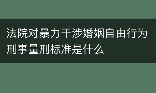 法院对暴力干涉婚姻自由行为刑事量刑标准是什么