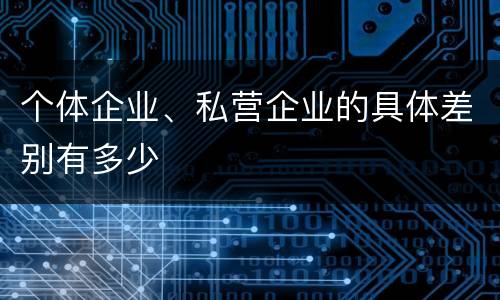 个体企业、私营企业的具体差别有多少