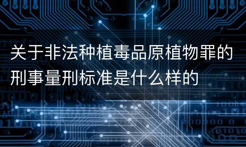 关于非法种植毒品原植物罪的刑事量刑标准是什么样的