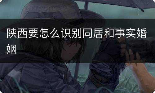 陕西要怎么识别同居和事实婚姻