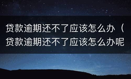 贷款逾期还不了应该怎么办（贷款逾期还不了应该怎么办呢）