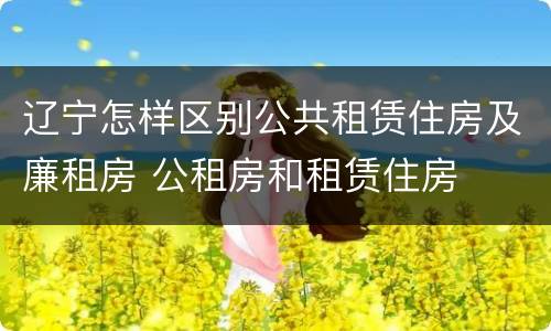 辽宁怎样区别公共租赁住房及廉租房 公租房和租赁住房