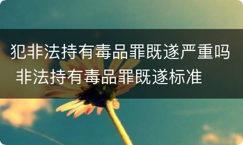 犯非法持有毒品罪既遂严重吗 非法持有毒品罪既遂标准