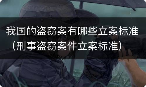 我国的盗窃案有哪些立案标准（刑事盗窃案件立案标准）