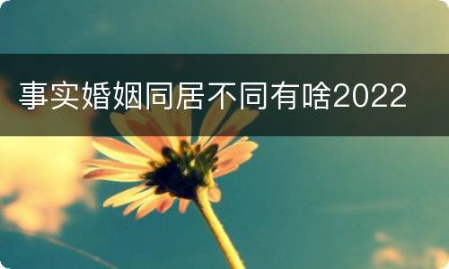 事实婚姻同居不同有啥2022