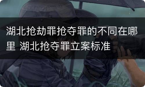 湖北抢劫罪抢夺罪的不同在哪里 湖北抢夺罪立案标准
