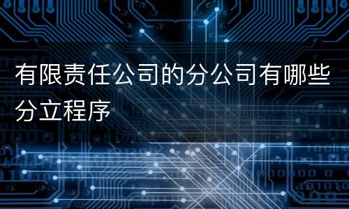 有限责任公司的分公司有哪些分立程序