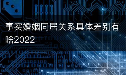 事实婚姻同居关系具体差别有啥2022