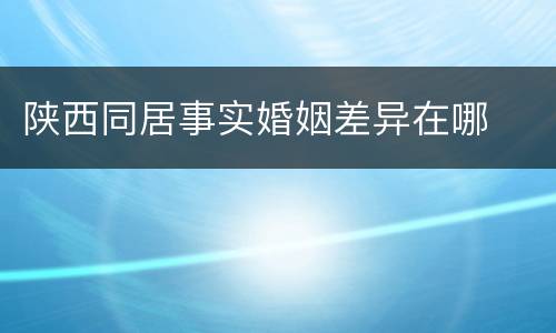 陕西同居事实婚姻差异在哪