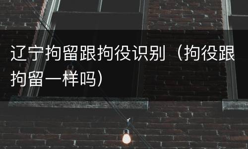 辽宁拘留跟拘役识别（拘役跟拘留一样吗）