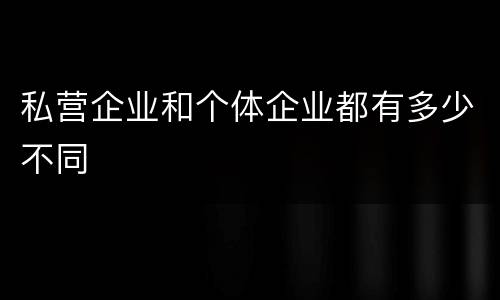 私营企业和个体企业都有多少不同