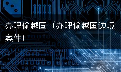 办理偷越国（办理偷越国边境案件）