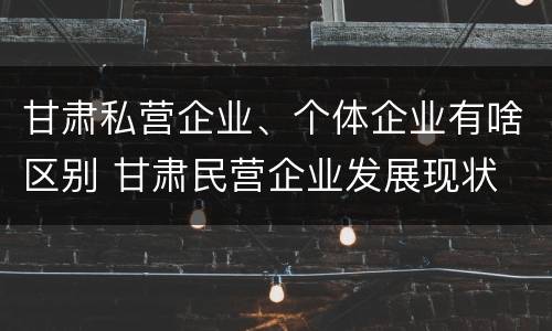 甘肃私营企业、个体企业有啥区别 甘肃民营企业发展现状