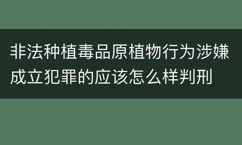 非法种植毒品原植物行为涉嫌成立犯罪的应该怎么样判刑