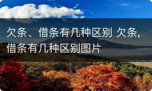 欠条、借条有几种区别 欠条,借条有几种区别图片