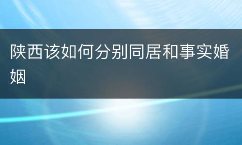 陕西该如何分别同居和事实婚姻