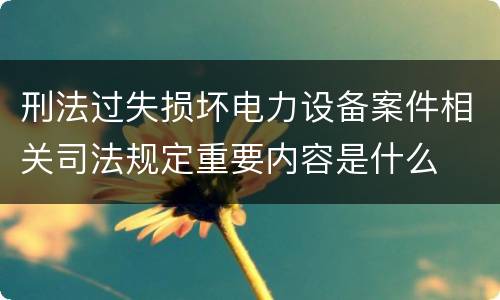 刑法过失损坏电力设备案件相关司法规定重要内容是什么