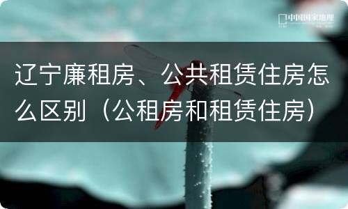 辽宁廉租房、公共租赁住房怎么区别（公租房和租赁住房）