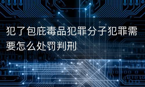 犯了包庇毒品犯罪分子犯罪需要怎么处罚判刑