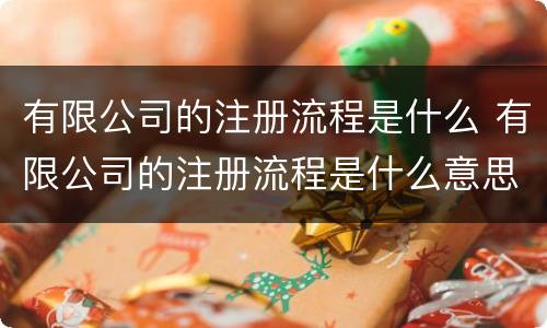有限公司的注册流程是什么 有限公司的注册流程是什么意思