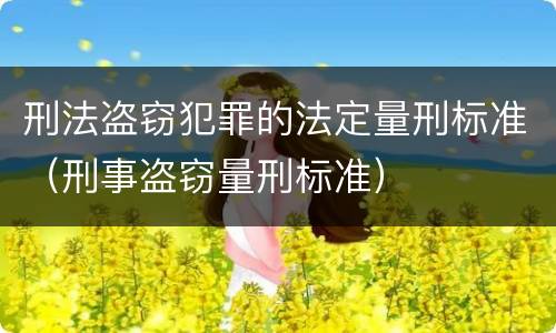 刑法盗窃犯罪的法定量刑标准（刑事盗窃量刑标准）