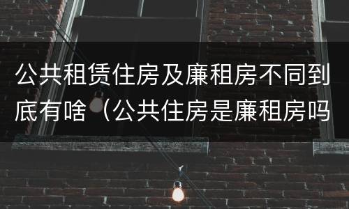 公共租赁住房及廉租房不同到底有啥（公共住房是廉租房吗）