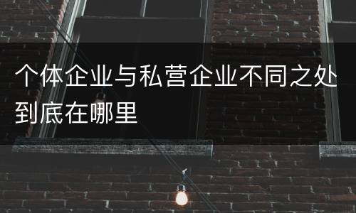 个体企业与私营企业不同之处到底在哪里
